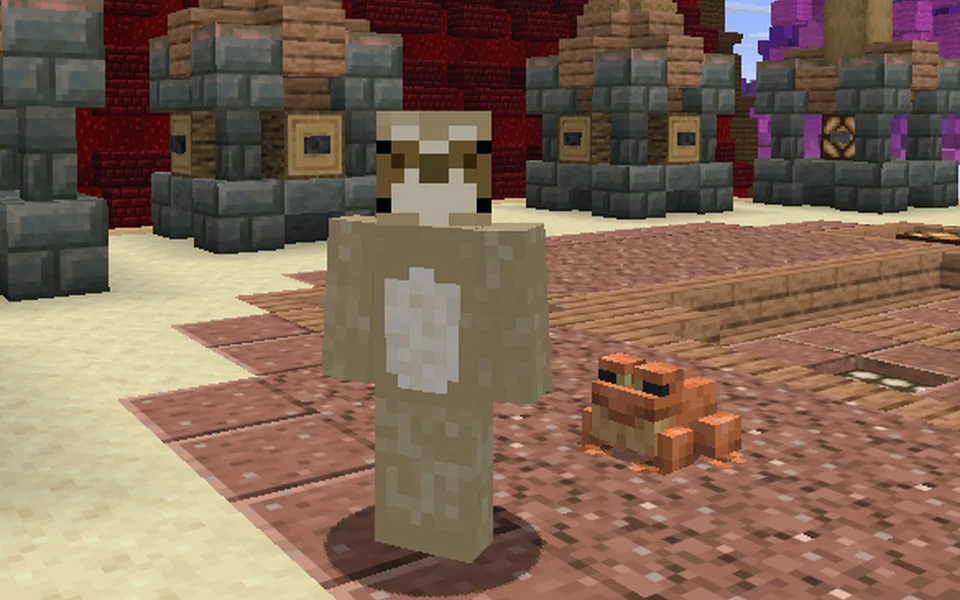 Frog companion beside a player in the MCWars lobby